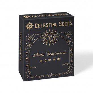 Семена марихуаны сорт Hellfire OG Auto Fem.