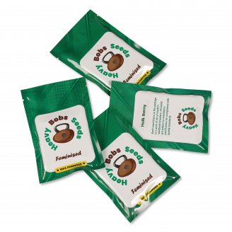 Семена марихуаны сорт Notorious THC Fem.